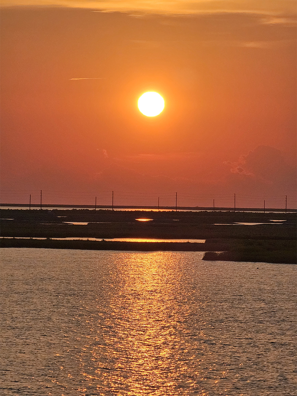 湿地と強い夕日