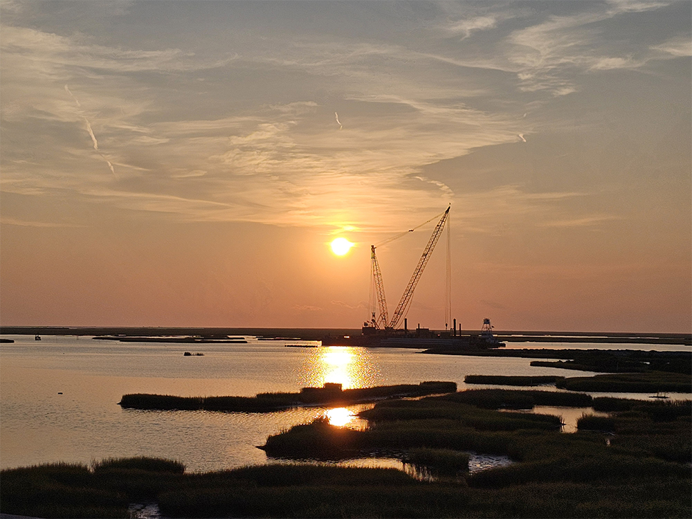 湿地とクレーンバージ